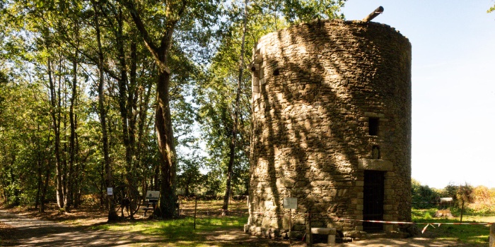 Nettoyage dans et aux abords du moulin et poses d’œuvres