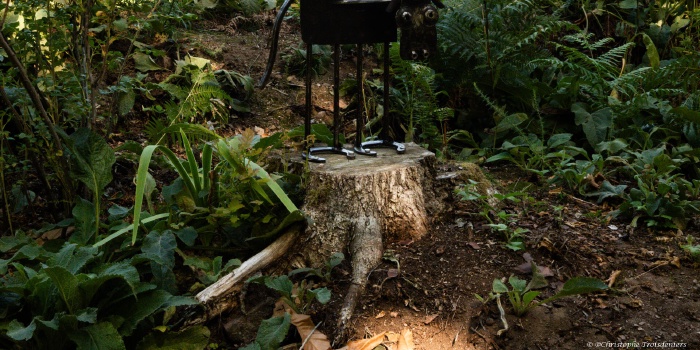 Nettoyage dans et aux abords du moulin et poses d’œuvres