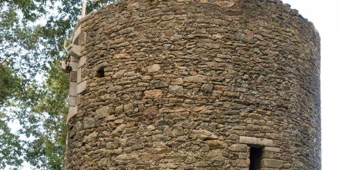 Nettoyage dans et aux abords du moulin et poses d’œuvres